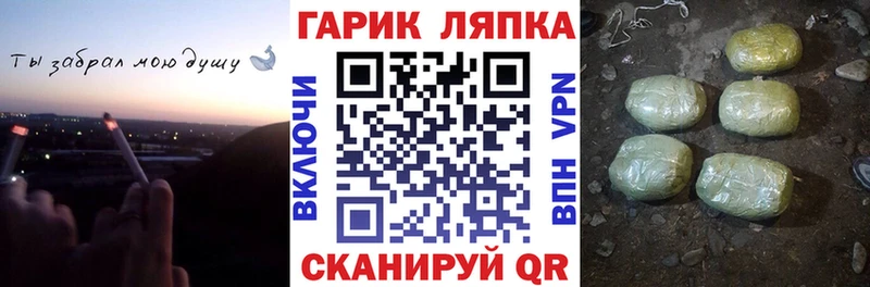 сколько стоит  Бородино  ГАШ гашик 