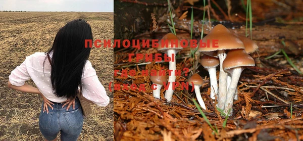 а пвп мука Белокуриха