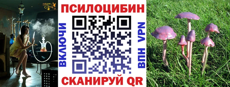 Галлюциногенные грибы Magic Shrooms  МЕГА ССЫЛКА  Бородино 